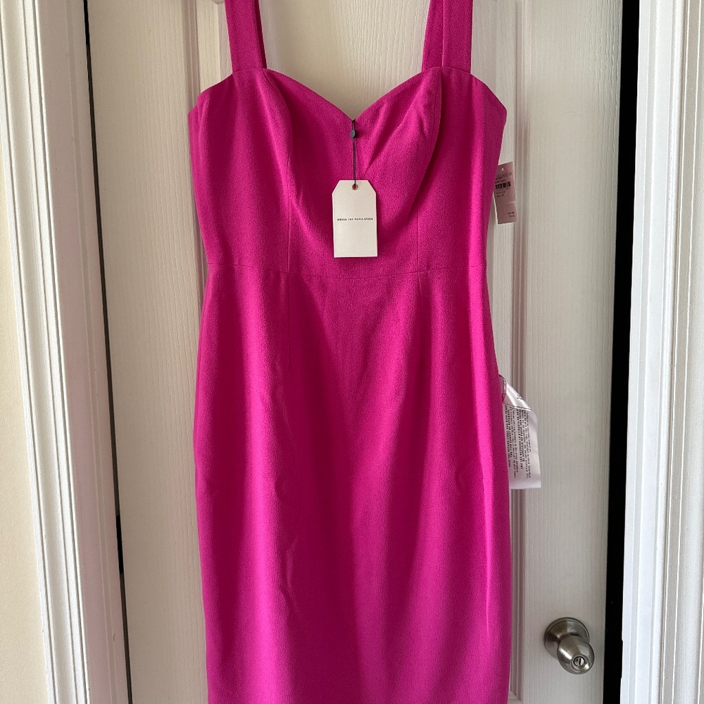 Dress The Population Fuchsia Cocktail Dress